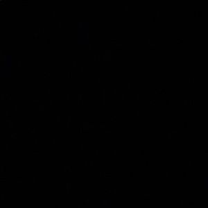 Meet your Posher, Viviane